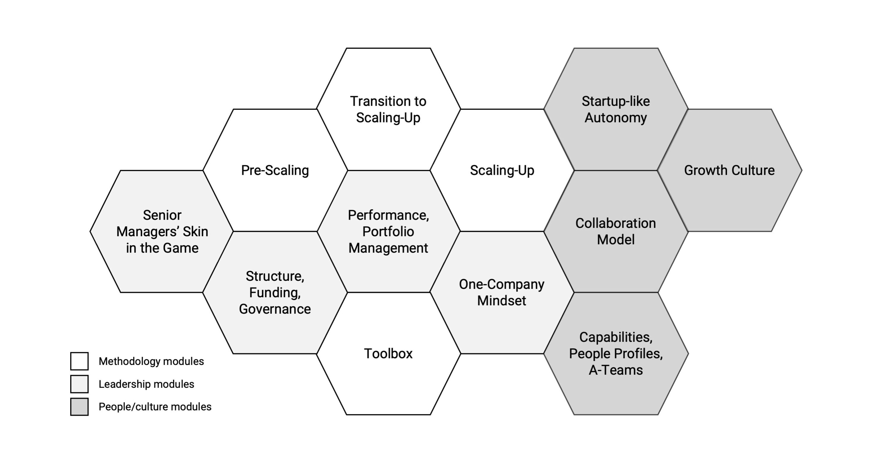 A honeycomb diagram outlining a business growth strategy with categories: Methodology, Leadership, and People/Culture. Each hexagon contains a specific module related to scaling up and growth.